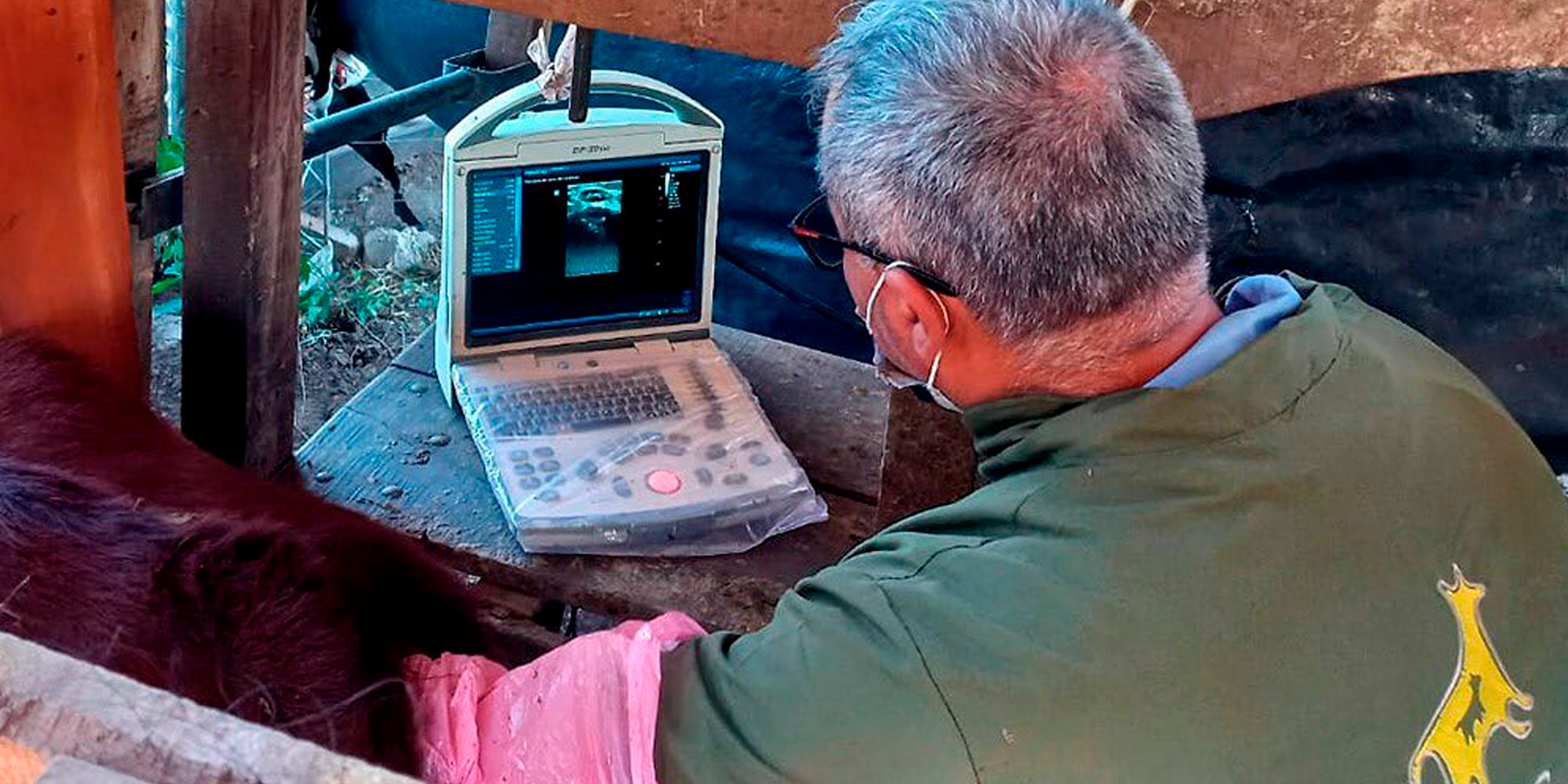 Biotecnologías aplicadas a la ganadería